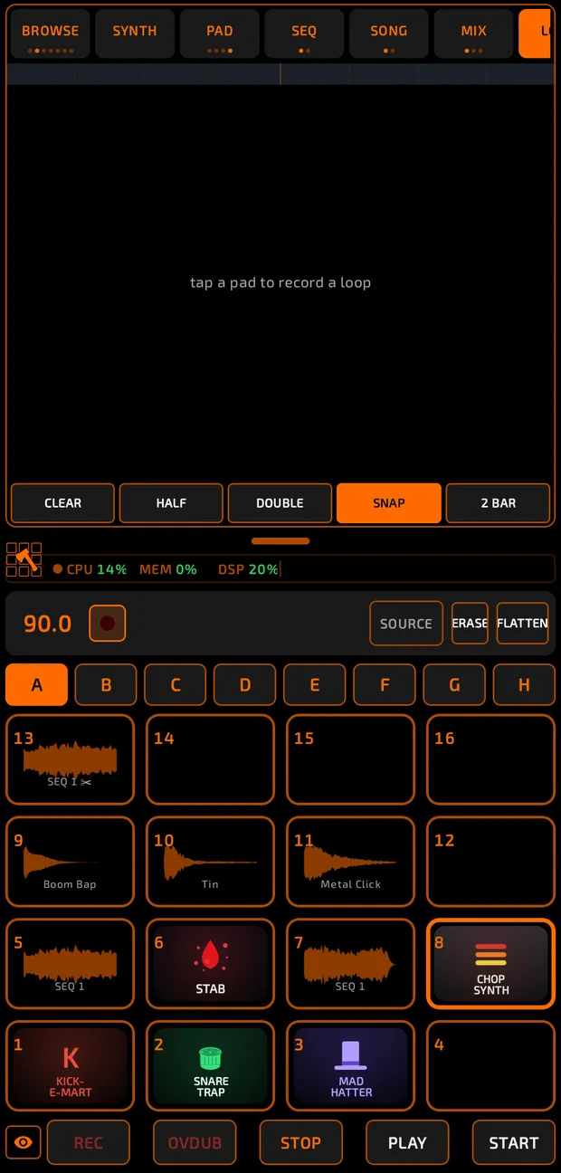 The LOOP tab